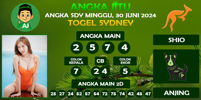 Prediksi Angka Jitu Sdy Minggu 30 Juni 2024