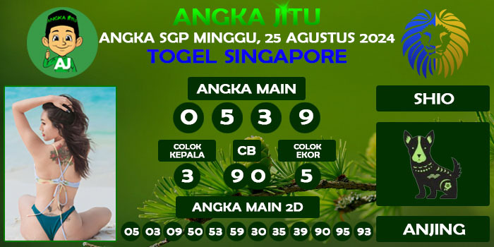 Prediksi Angka Jitu Sgp Minggu 25 Agustus 2024